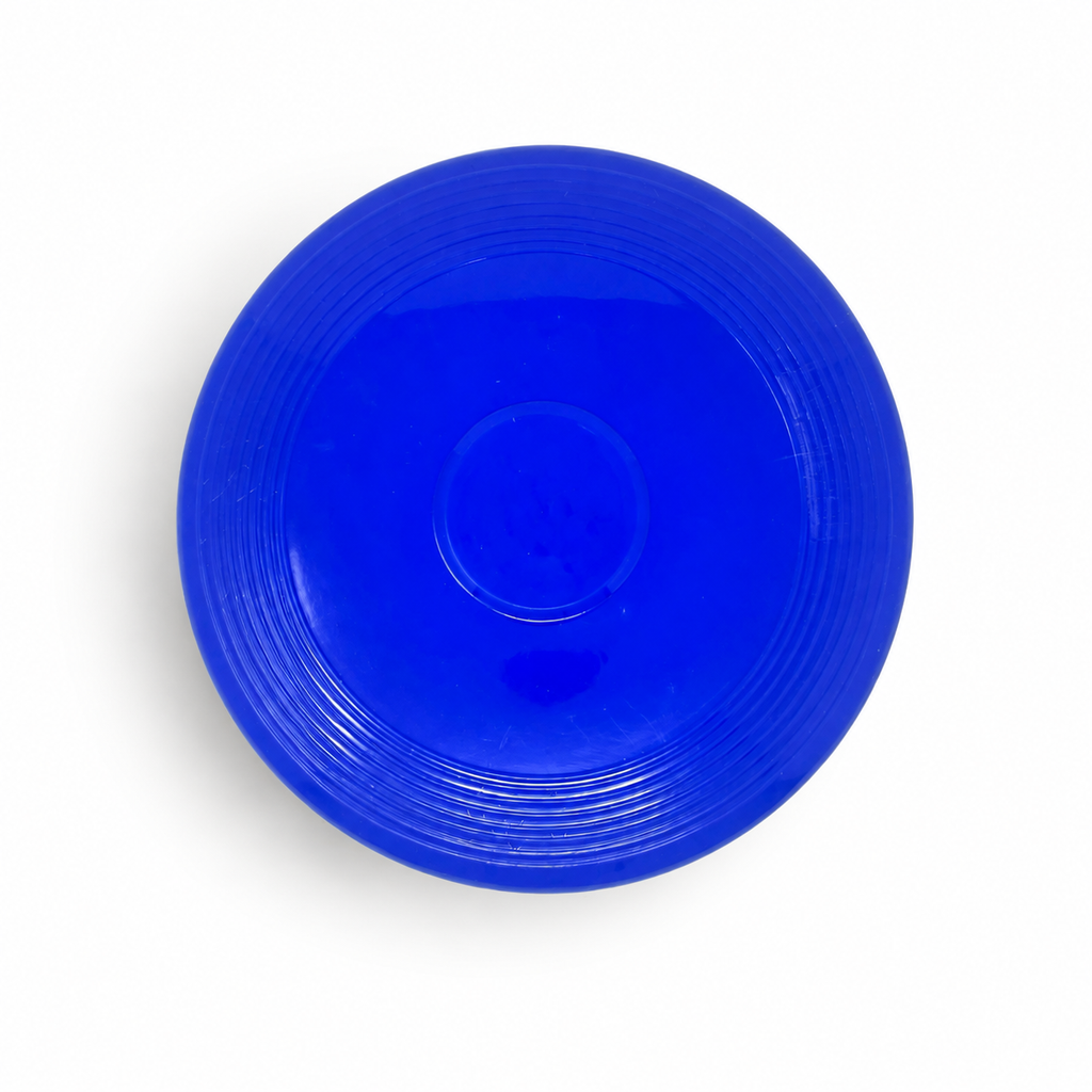 Classic Outdoor Flying Disc - Blue