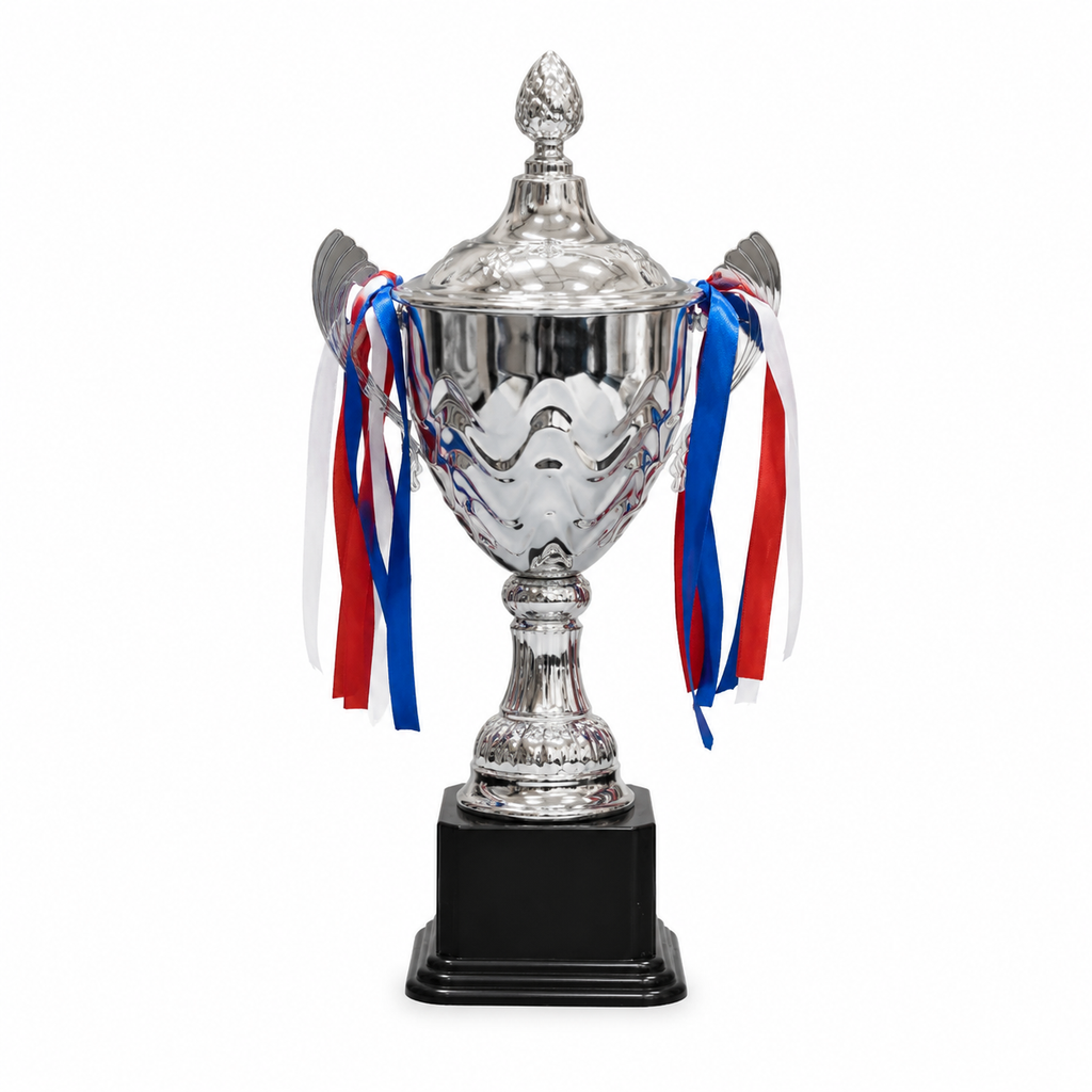Silver Cup Trophy