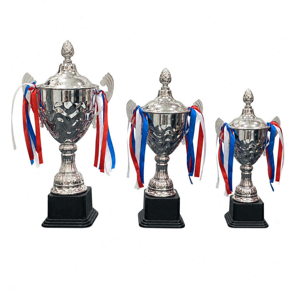 Silver Cup Trophy