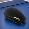 Giant Dragon Hard Table Tennis Racket Case
