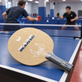 Butterfly Maze Magic Table Tennis Blade