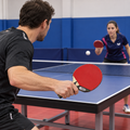 Butterfly Timo Boll Silver Table Tennis Racket