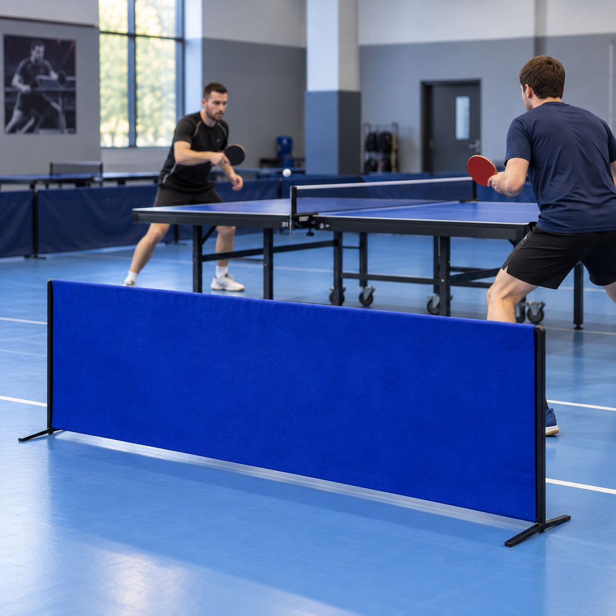 Giant Dragon Blue Table Tennis Surround