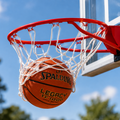 Spalding Pro Slam Basketball Rim
