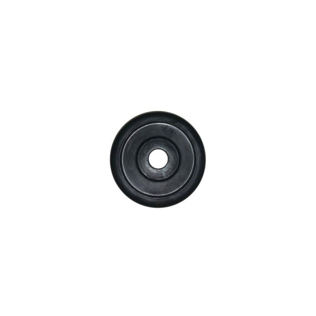 Rubber-Coated Regular Weight Plate - 1.25 Kg